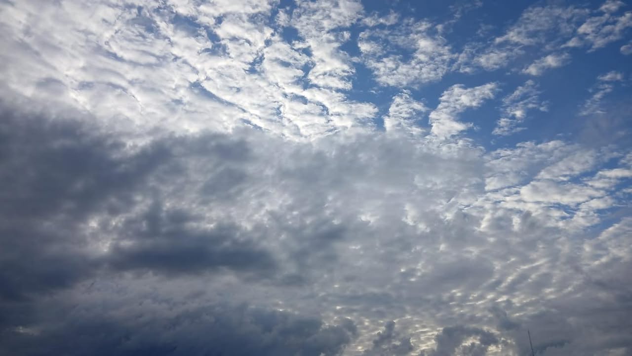 #clima | Parcialmente nublado y con un 60% de posibilidades de lluvia por la tarde. El calor estará un poco más alto que ayer. En general, según los pronósticos meteorológicos, un día templado.