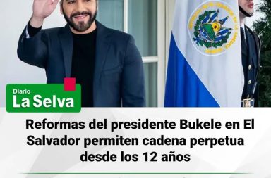 Bukele promulga reformas sobre cadena perpetua