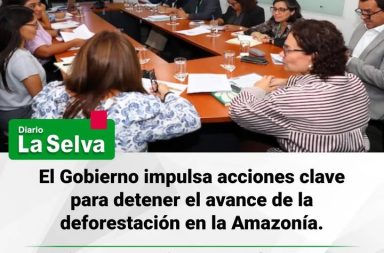 Gobierno articula acciones para frenar la deforestación en la Amazonía