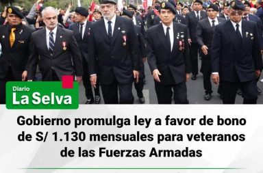 Veteranos recibirán apoyo económico tras aprobación de nueva ley