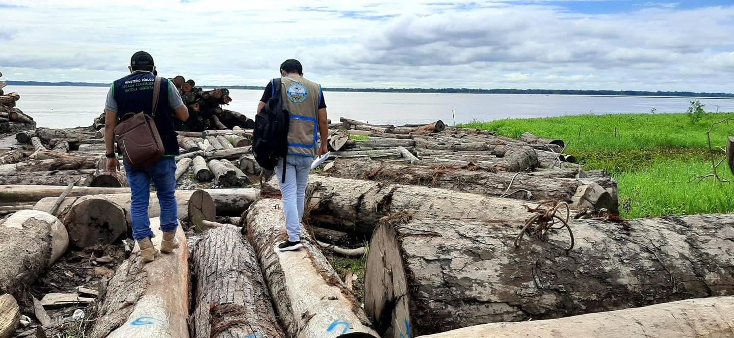 Fiscalía logra sentencia contra red vinculada a tala ilegal en el río Napo.
