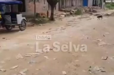 Fuertes vientos dañan viviendas en el A.H. Violeta Correa, en Belén.