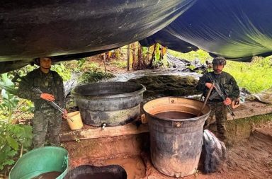 Operativo en frontera golpea producción ilegal de droga