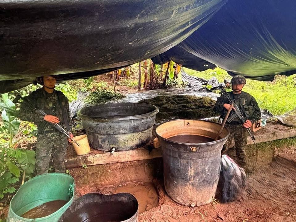 Operativo en frontera golpea producción ilegal de droga