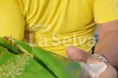 Gastronomía fluvial en Iquitos atrae a visitantes en el río Itaya.