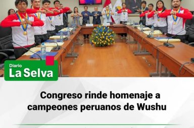 Congreso rinde homenaje a campeones peruanos de Wushu