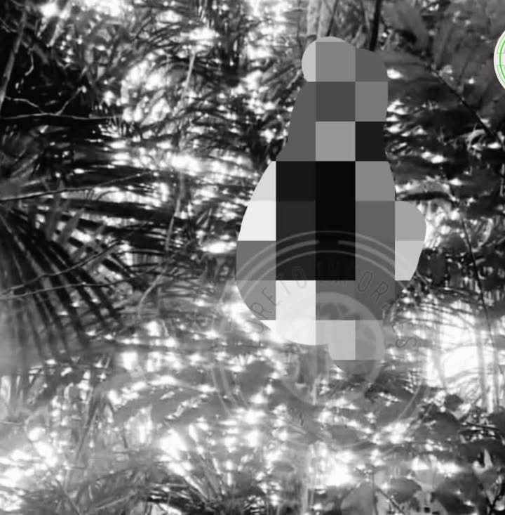 ÚLTIMO MINUTO IMPACTO Y DOLOR EN IQUITOS: ADOLESCENTE ES HALLADO SIN VIDA COLGADO DE UN ÁRBOL EN BARRIO FLORIDO