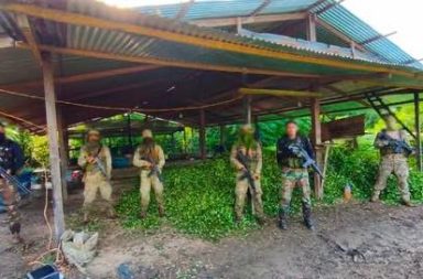 Intervención en el Putumayo deja droga incautada y ataque a patrullas.