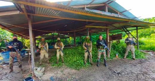 Intervención en el Putumayo deja droga incautada y ataque a patrullas.