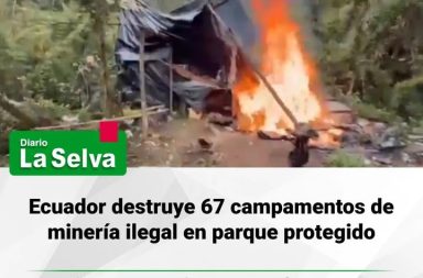 Golpe a actividades ilegales en área natural