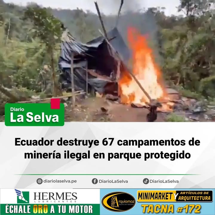 Golpe a actividades ilegales en área natural