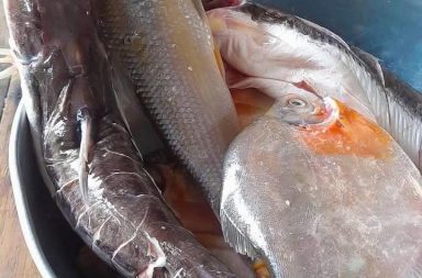 Pescadito fresco de nuestros ríos. Vamos al mercado ya que para hoy...