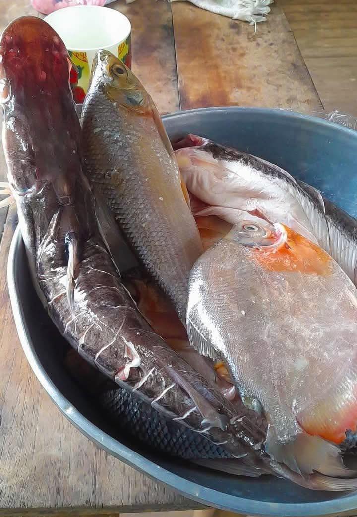 Pescadito fresco de nuestros ríos. Vamos al mercado ya que para hoy...