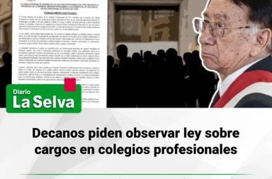 Gremios profesionales cuestionan norma aprobada por el Congreso