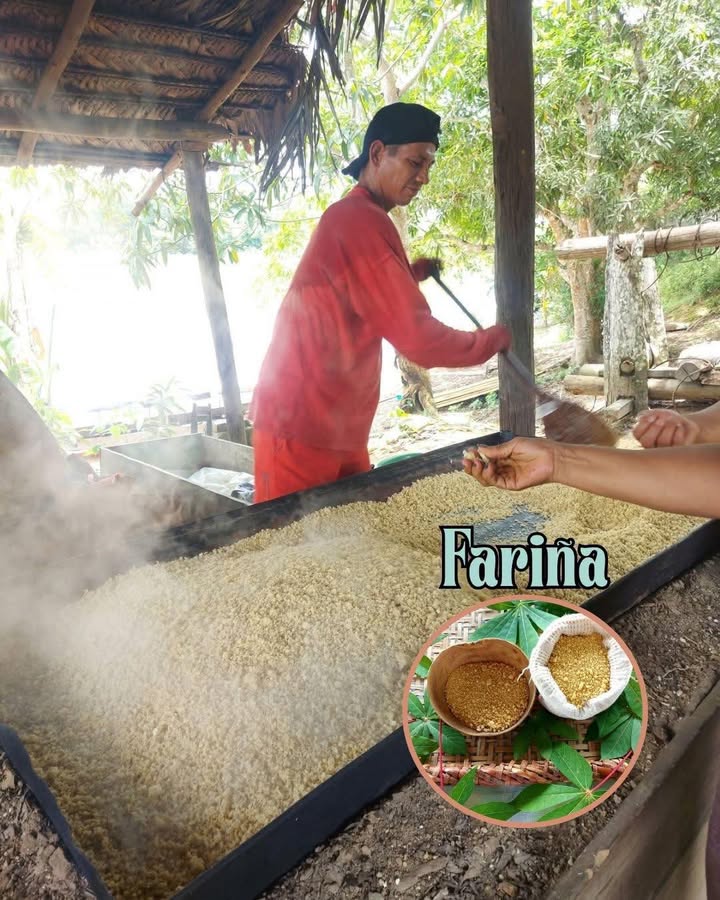 La fariña es una exquisitez que nos da energía y acompaña a nuestras comidas.