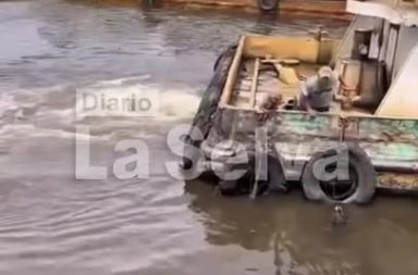 Trabajadores rescatan a perro que cayó al río Nanay en Iquitos.