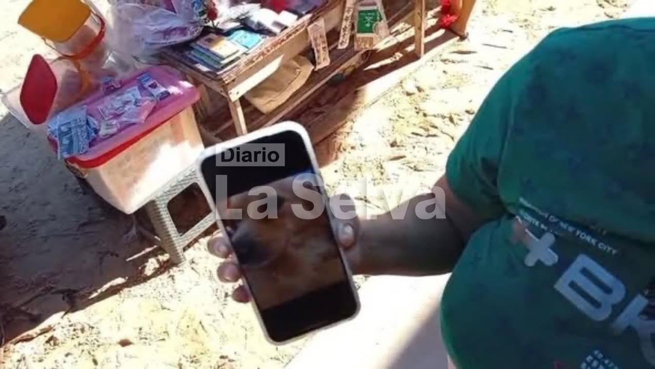 Indignación en San Juan Bautista por muerte de perro atacado con machete.
