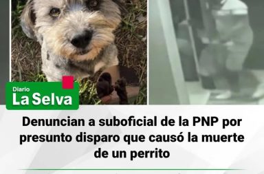 #Piura Denuncian a policía por presuntamente disparar y matar a un perro en Piura.