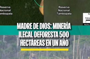 Informe alerta sobre fuerte impacto ambiental en zona amazónica