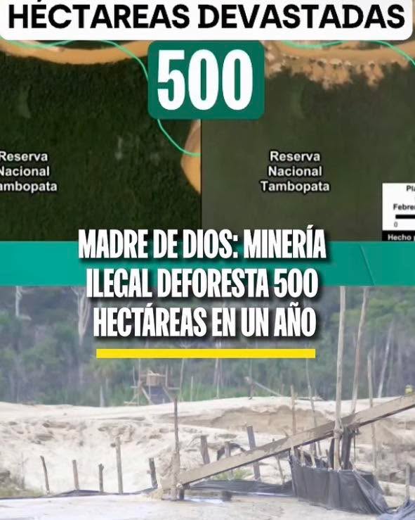 Informe alerta sobre fuerte impacto ambiental en zona amazónica