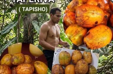 ¿Ya probaste la TAPERIVA?