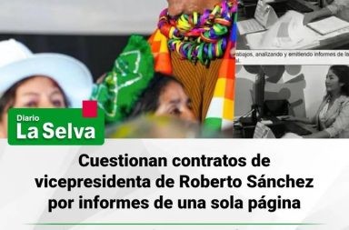 Investigación periodística revela presuntas irregularidades en servicios de consultoría