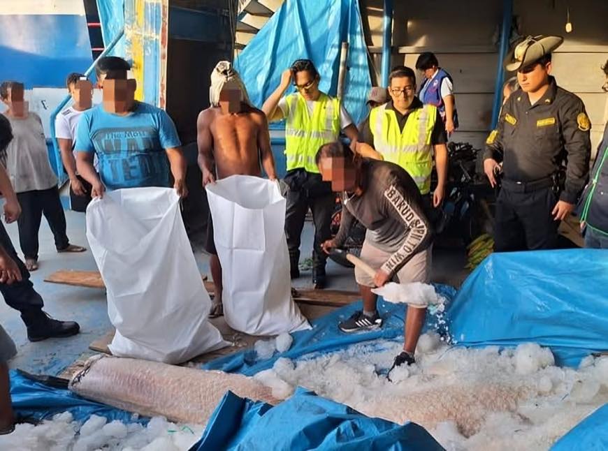 Condenan a cuatro años de prisión a traficante de paiche intervenido en temporada de veda.