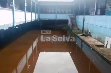 Profesora Elsa Chota Salas, directora de la Institución Educativa Primaria N.° 6010278...