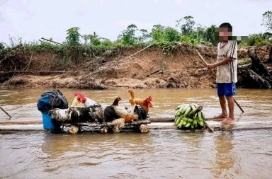 Una estampa de nuestra Selva.