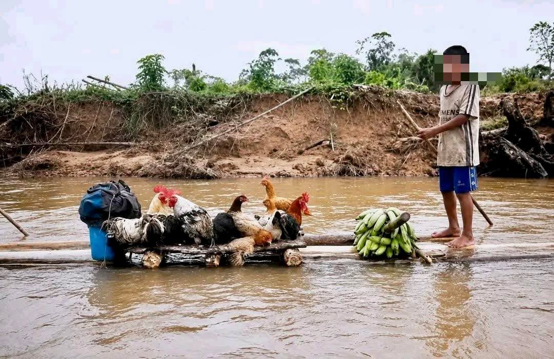 Una estampa de nuestra Selva.