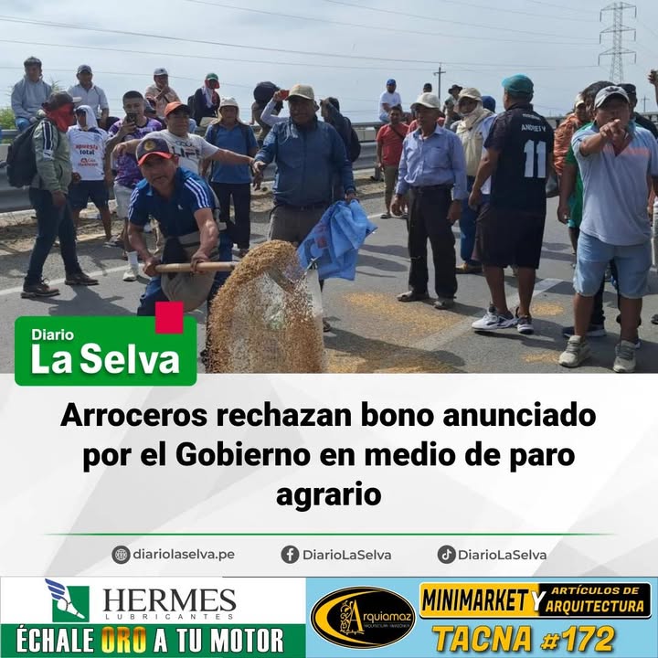 #SanMartin  Productores de arroz cuestionan bono económico ofrecido por el Ejecutivo