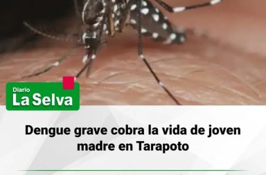 #Tarapoto  Dengue grave enlutó a una familia en Tarapoto