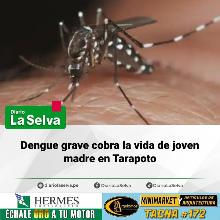 #Tarapoto  Dengue grave enlutó a una familia en Tarapoto