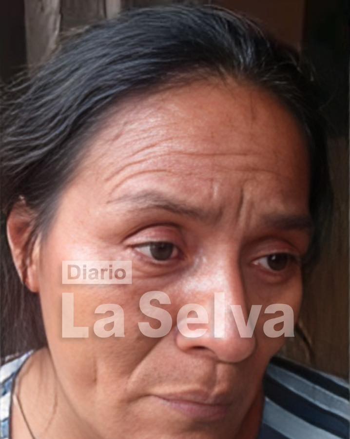 Abuela solicita tenencia de nieta y denuncia presunto descuido materno.