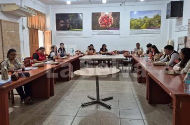 Loreto impulsa protocolo para mejorar atención a víctimas de violencia familiar.
