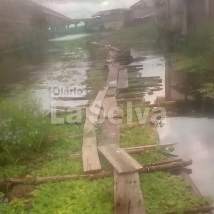 Vecina reporta robo tras regresar a su hogar en Bellavista Nanay.