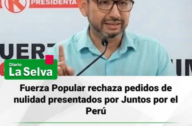 Luis Dyer asegura que defenderán resultados del proceso electoral