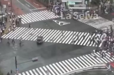 Y esta celebración en las calles es lo más japonés que podremos ver.