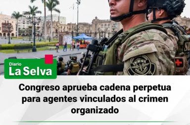 Aprueban cadena perpetua para agentes que favorezcan organizaciones criminales