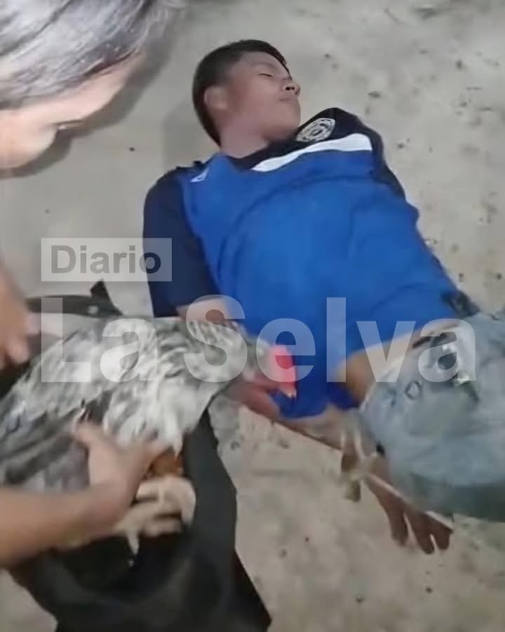 Vecinos retienen a sujeto tras hallarlo con aves y un motor de agua en San Juan Bautista.