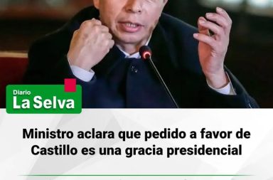 Evalúan solicitud de gracia presidencial para Pedro Castillo