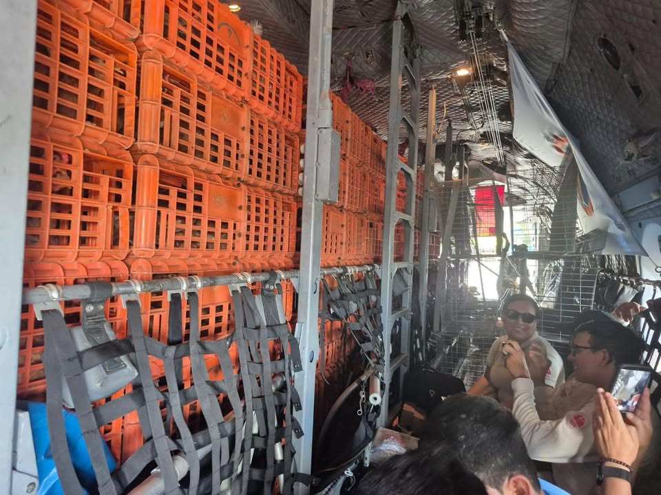 Seguridad alimentaria: ejecutan traslado aéreo de gallinas y alimento para beneficiar a comunidades de la frontera