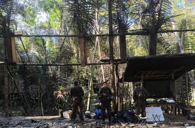 Fuerzas del orden destruyen campamento del narcotráfico e incautan abundante material militar y droga