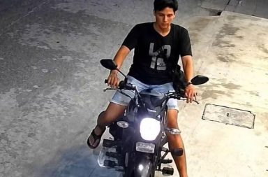 Alerta vecinal: captan a un hombre hurtando una palmera tras vigilar los movimientos de una cuadra