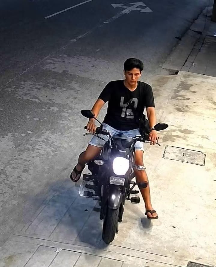 Alerta vecinal: captan a un hombre hurtando una palmera tras vigilar los movimientos de una cuadra