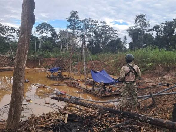 Incautan bienes valorizados en más de S/ 5.6 millones en operativo contra la minería ilegal