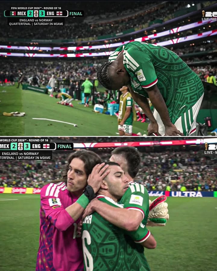 ‼MEXICO LLORA LA DERROTA MUNDIALISTA ‼‼