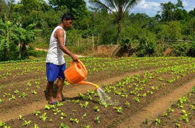 Municipalidad de Maynas defiende transparencia en compra de alimentos de la agricultura familiar