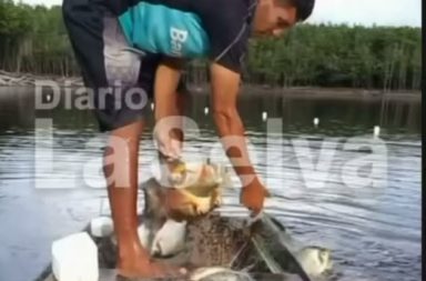 CUANDO PESE AL CLIMA MUCHAS VECES ADVERSO, LA BENDICIÓN ESTÁ CON EL PESCADOR QUE SABE DÓNDE PONER LA TRAMPA.