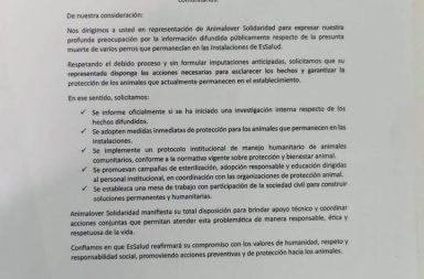 Piden investigar presunta muerte de perros en EsSalud y denuncian posible abandono de animales